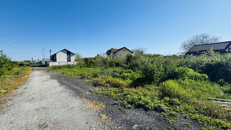 Manolache Pallady A2