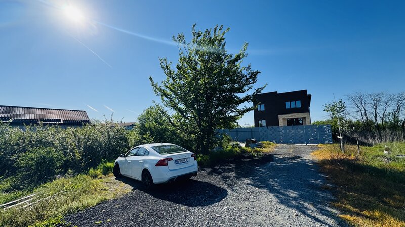 Manolache Pallady A2