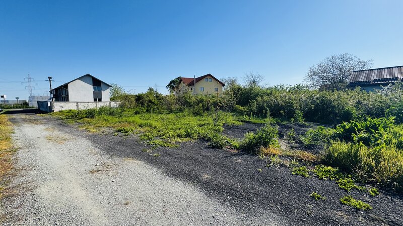 Manolache Pallady A2