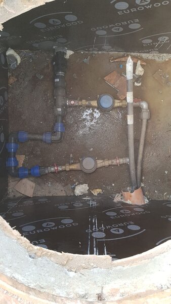 Manolache Pallady A2