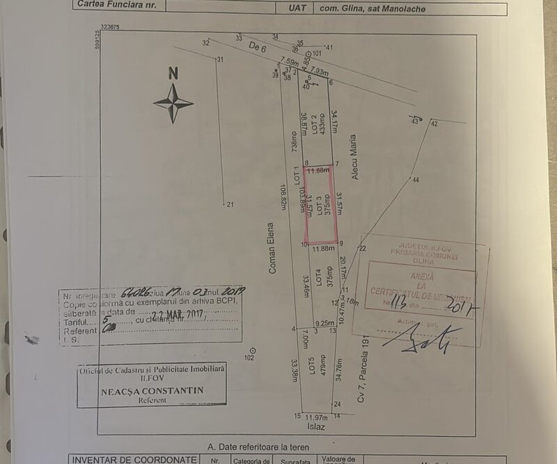 Manolache Pallady A2