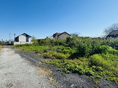 Manolache Pallady A2