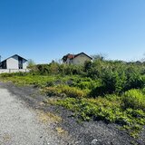 Manolache Pallady A2